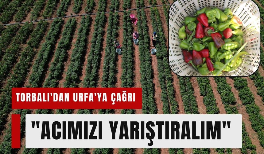 Bu rekabet dil yakacak: Torbalı’dan Urfa’ya acı rest!