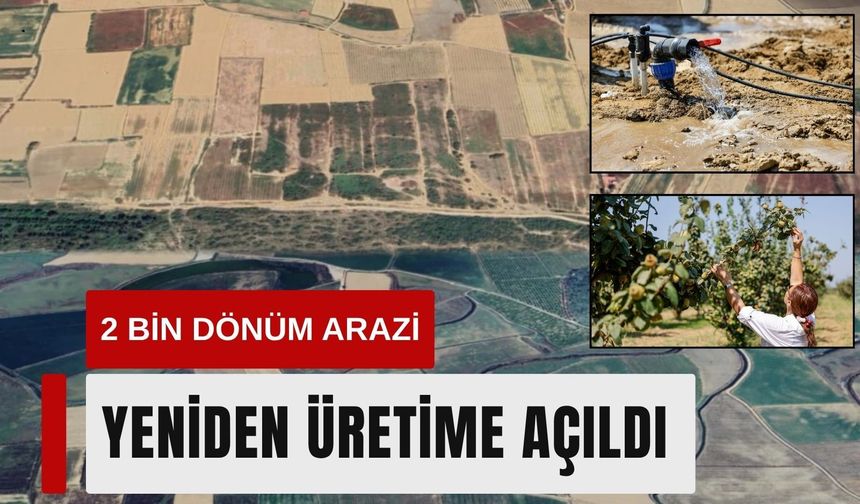 Selçuk’ta 2 bin dönüm arazi yeniden üretime açıldı