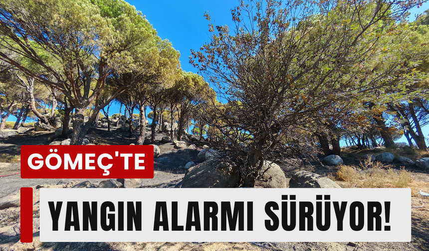 Gömeç'ten Bergama'ya uzanan yangın sürüyor!