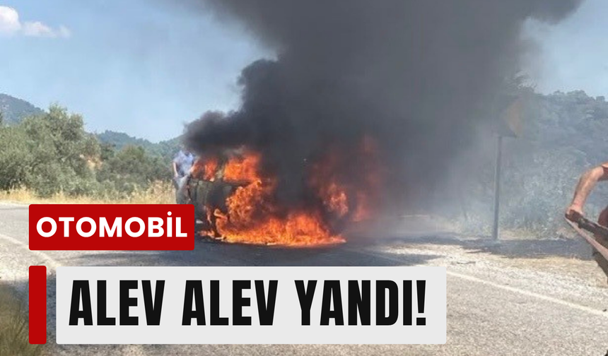Yolda ilerlerken alevlere teslim oldu!