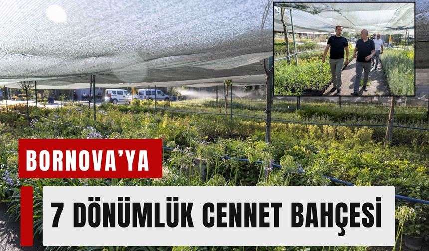 Bornova’ya 7 dönümlük lavanta parkı geliyor