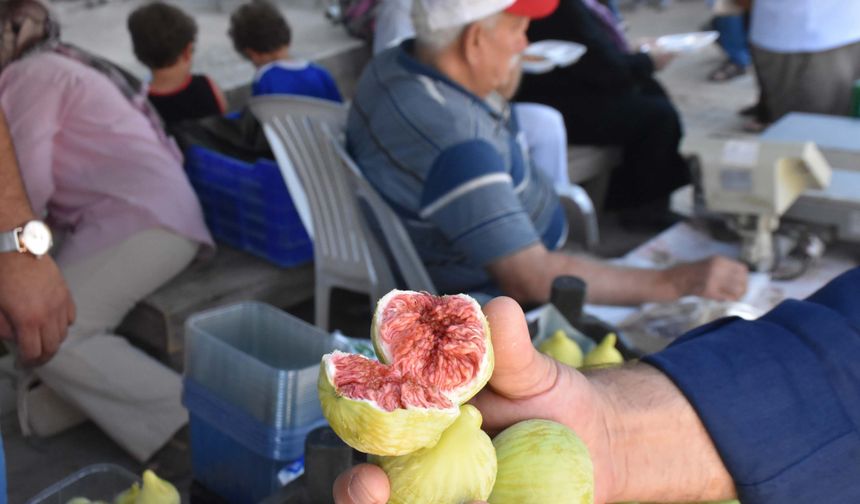 Çapak Bardacık İnciri 15’inci kez festivalle tanıtıldı