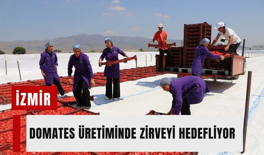 İzmir domates üretiminde zirveyi hedefliyor