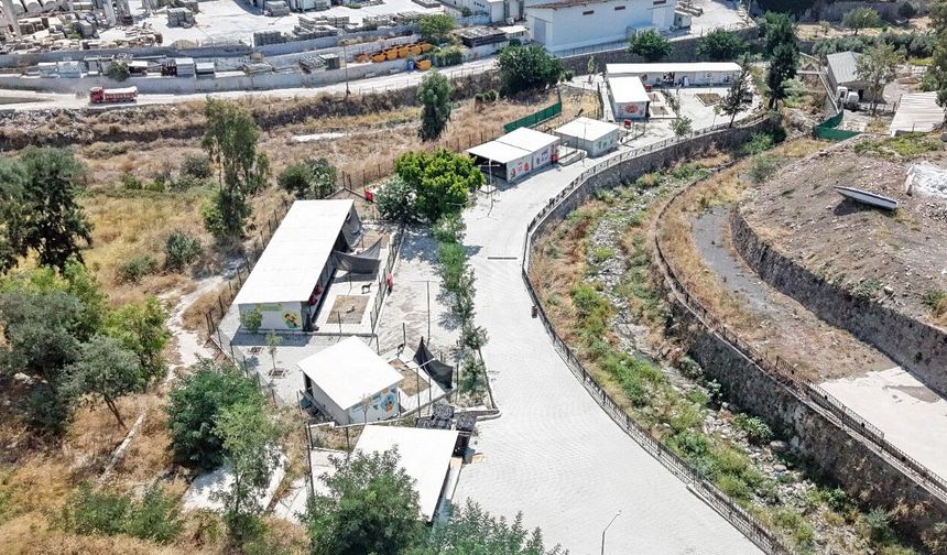 Karşıyaka’da 282 patili dost sıcak yuvalarını bekliyor