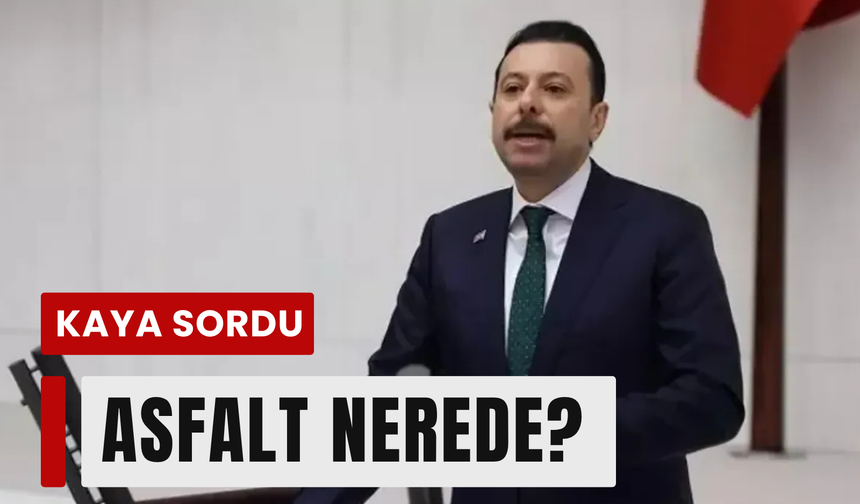 Kaya’dan asfalt çıkışı: 'Bu asfalt nereye gitti?'