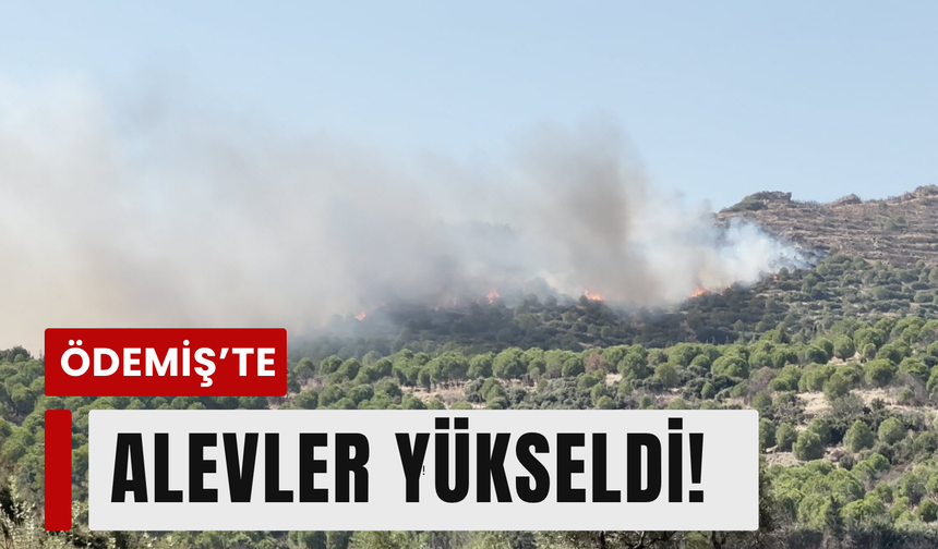Ödemiş'te orman yangını: Havadan ve karadan müdahale!