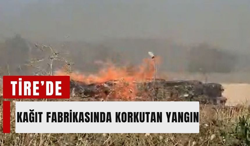 Tire'de kağıt fabrikasının deposunda yangın