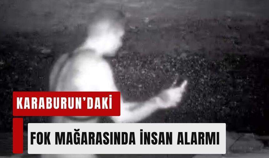 Karaburun’da fok mağarasına girdi! Fotokapana yakalandı