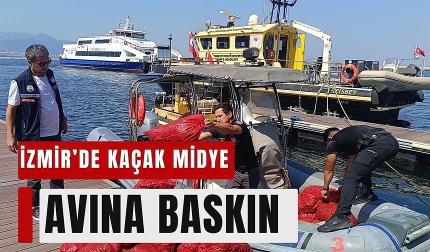 Balçova’da kaçak midye avına baskın: 560 kilo midye ele geçirild