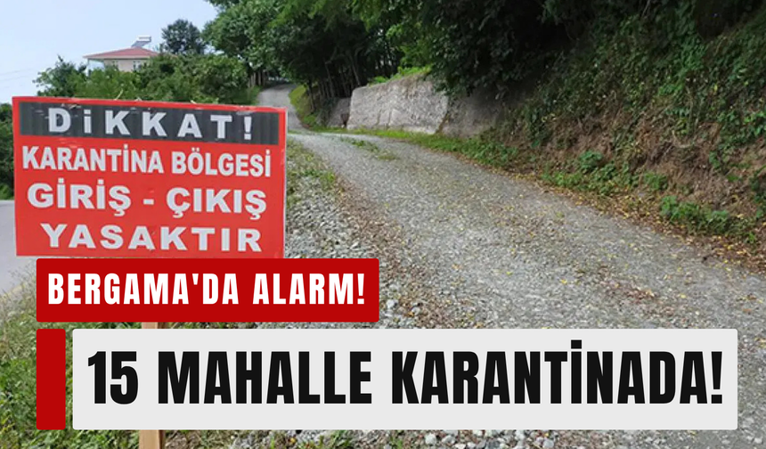Bergama'da mavi dil alarmı: 15 mahalle karantinada!
