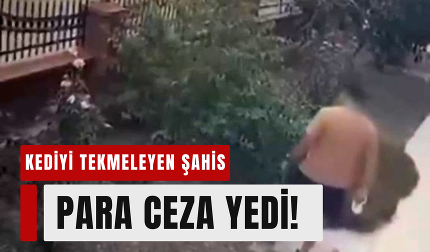Anne kediye tekme atan şahsa ceza!
