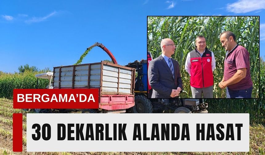İzmir’de üreticilere yeni alternatif: Hasadı başladı