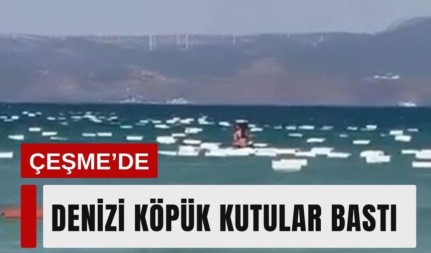 Çeşme’de denizi köpük kutular bastı