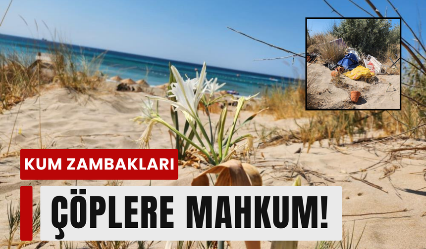 Altınkum’un kum zambakları çöpler içinde!