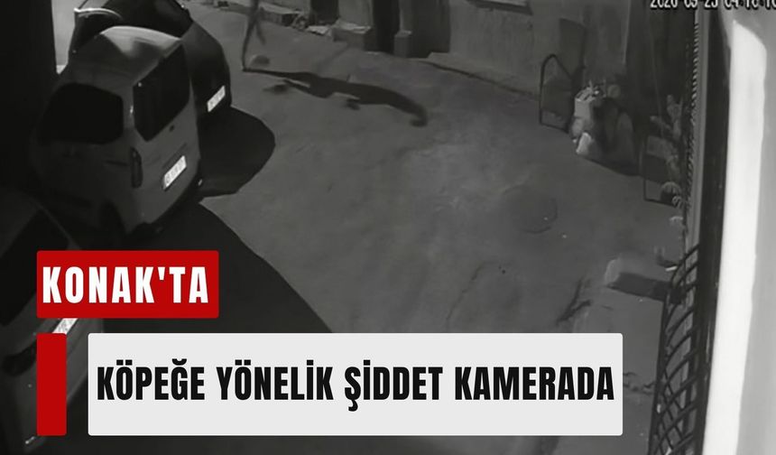 Konak'ta köpeğe yönelik şiddet kamerada