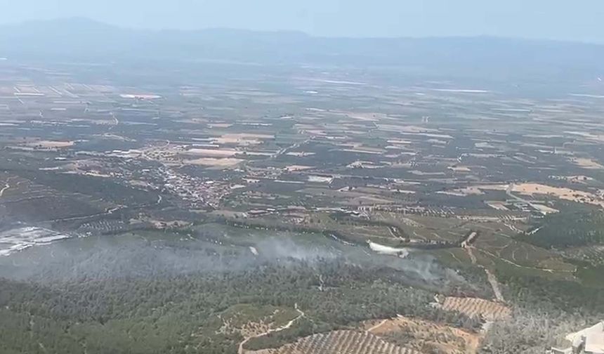 Soma'da orman yangını: Havadan ve karadan müdahale!