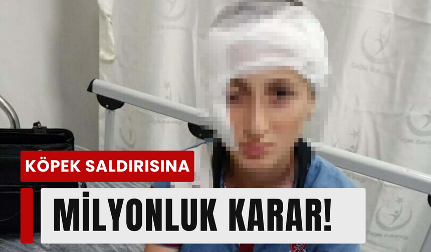 Menderes’te köpek saldırısına rekor tazminat!