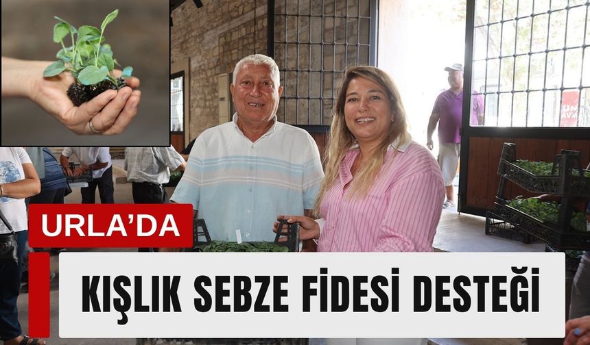 Urla’da 500 üreticiye 120 bin kışlık sebze fidesi desteği
