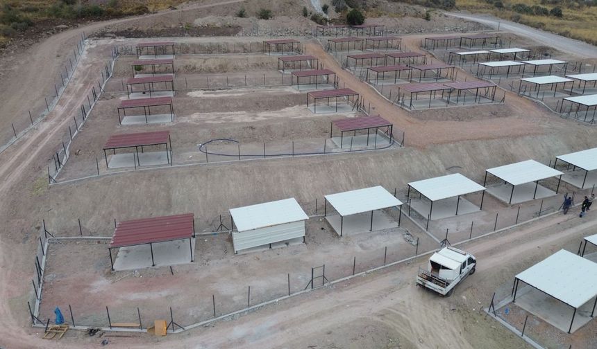 Dikili’de 2 bin 500 hayvan kapasiteli kampüs kuruluyor