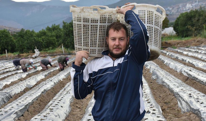 Kurumsalı bıraktı, tarlaya döndü!