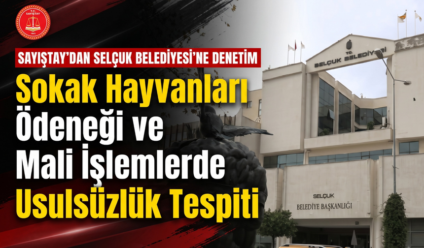 Sayıştay’dan Selçuk Belediyesi’ne denetim: Sokak hayvanları ödeneği ve mali usulsüzlük!