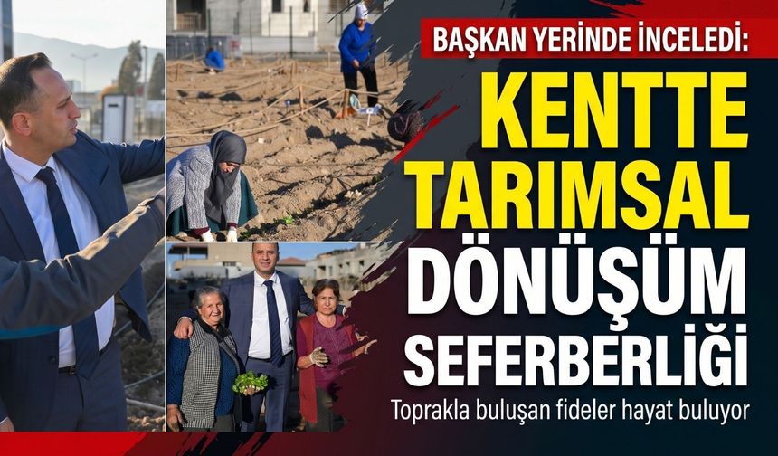 Bornova’da karbon sıfır kent bostanı üretime başladı