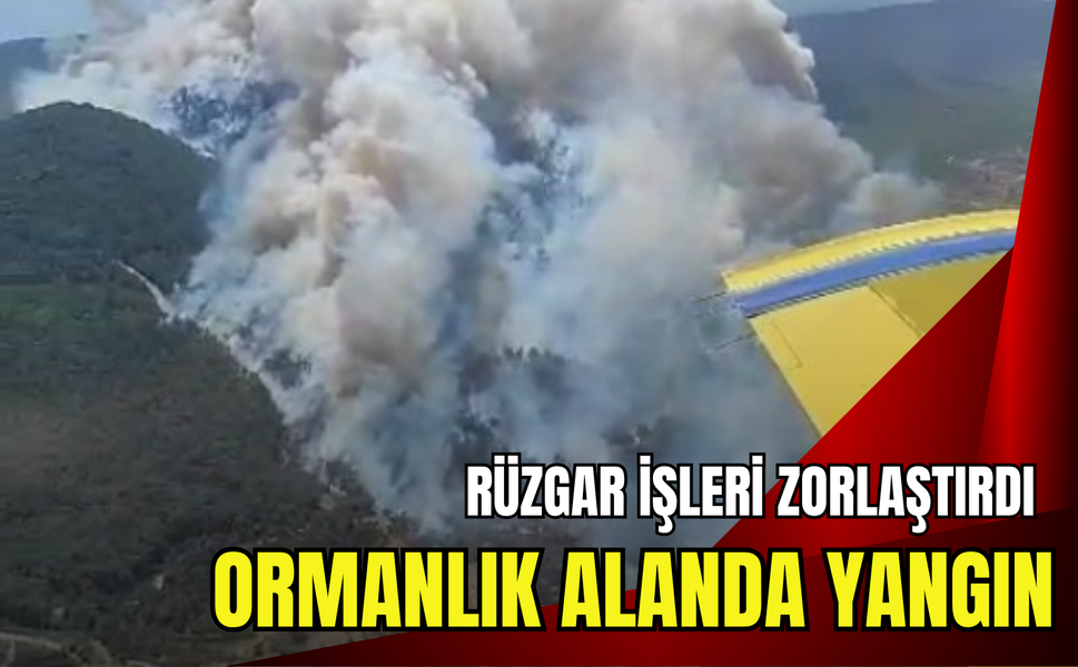 Menderes ve Seferihisar arasındaki ormanlık alanda yangın!