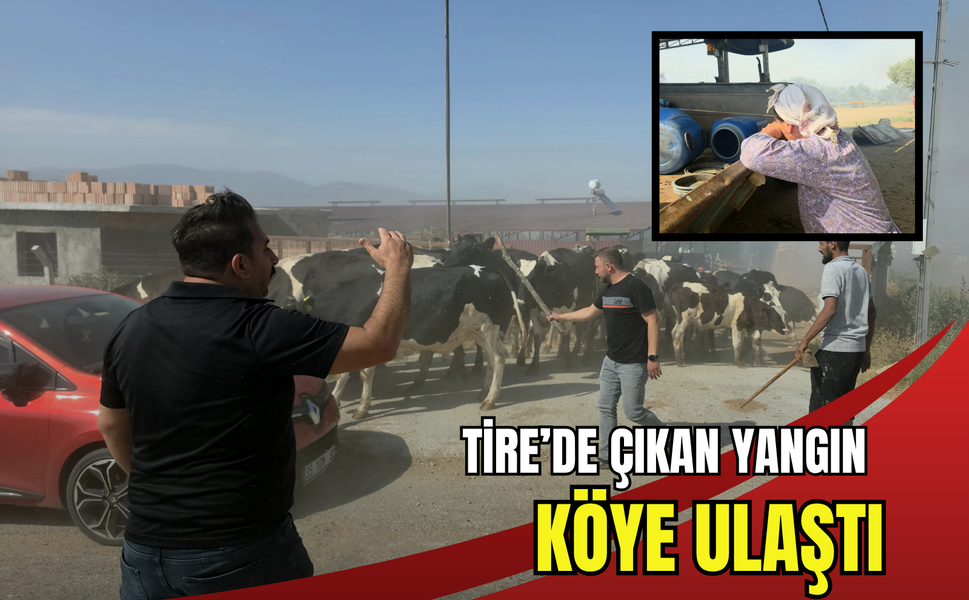 Tire'de yangın paniği: Alevler köye ulaştı