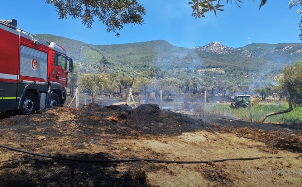 Torbalı, Kınık ve Menderes’te yangın alarmı: İzmir'deki yangınlarda son durum