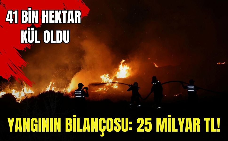 41 bin hektar orman kül oldu, yangınların faturası dudak uçuklattı!