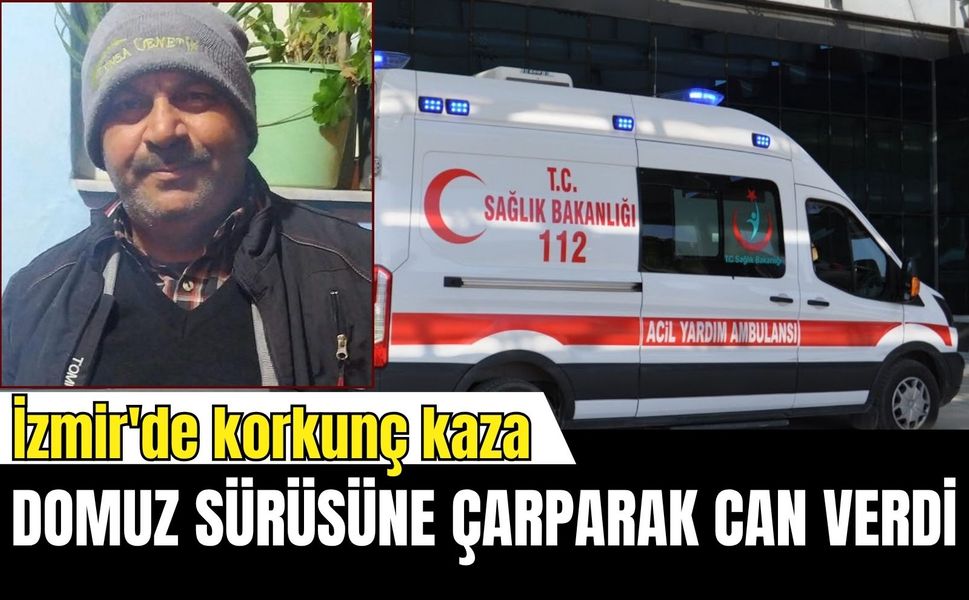 İzmir'de korkunç kaza: Domuz sürüsüne çarpan sürücü can verdi