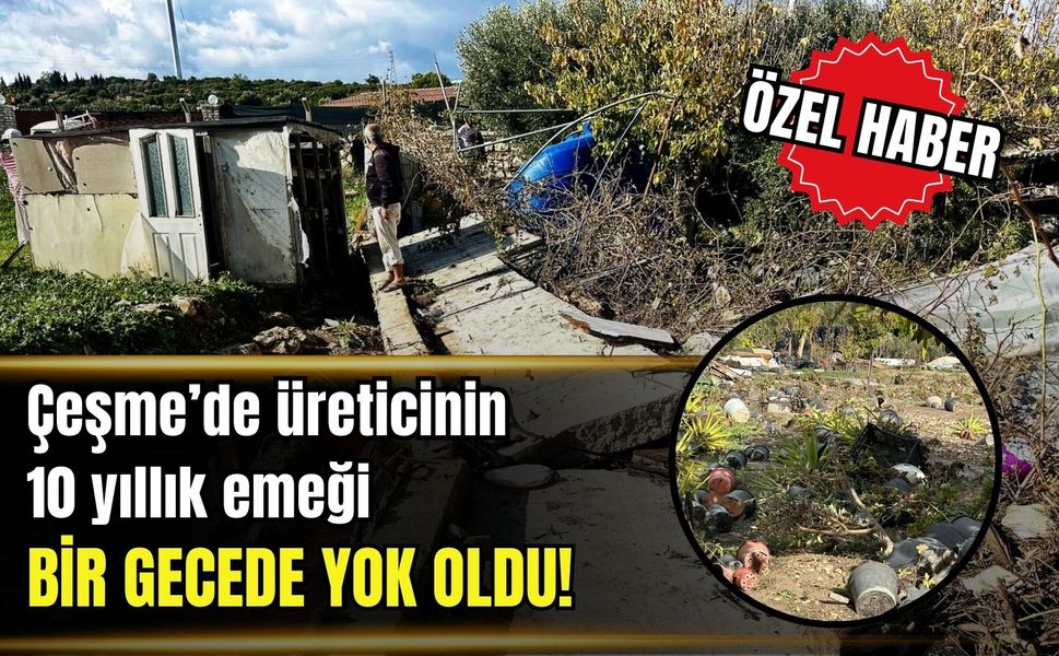 Çeşme’de bahçe bitkileri üreticisinin 10 yıllık emeği bir gecede yok oldu!