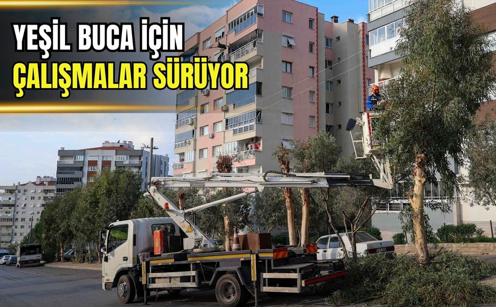 Yeşil Buca için çalışmalar sürüyor: Ağaçlar tek tek kontrol ediliyor