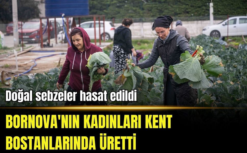 Bornova'nın kadınları kent bostanlarında üretti: Doğal sebzeler hasat edildi