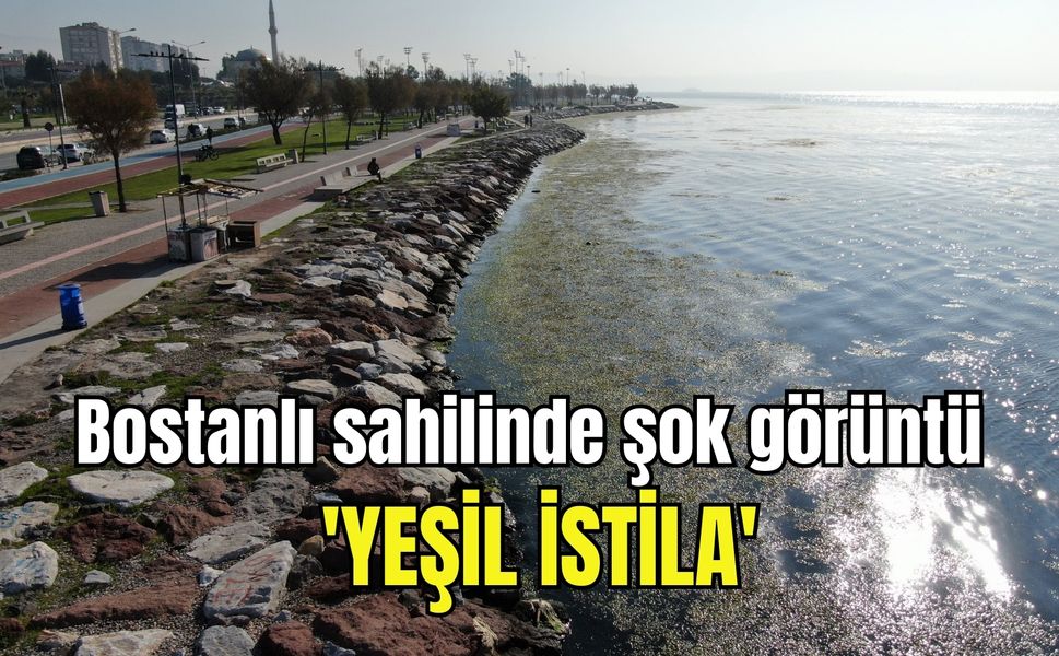 Bostanlı sahilinde şok görüntü: 'Yeşil İstila'