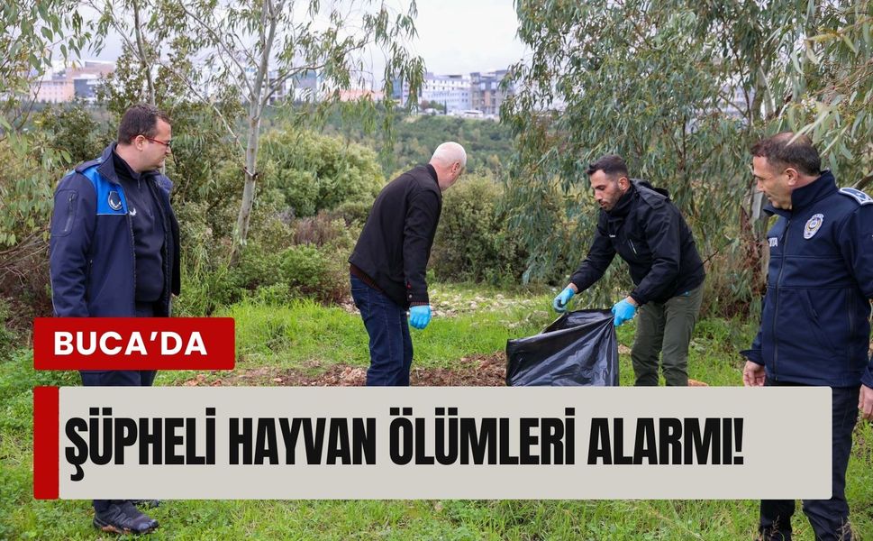 Buca’da şüpheli hayvan ölümleri alarmı!