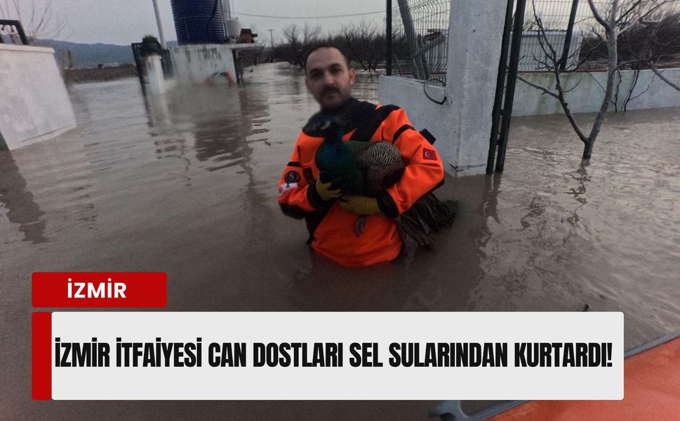 İzmir İtfaiyesi can dostları sel sularından botlarla kurtardı!
