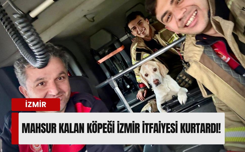 Suların arasında mahsur kalan köpeği İzmir İtfaiyesi kurtardı!