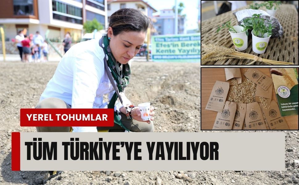 Efes Selçuk’tan yerel tohumlar tüm Türkiye’ye yayılıyor