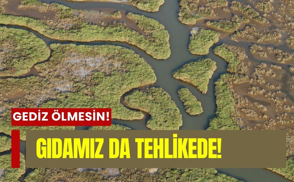 Gediz’in imdat çığlığı: İzmir Körfezi ve soframızdaki gıdalar büyük tehlike altında!