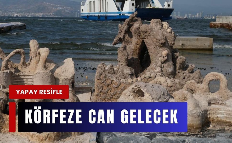 Midye kabukları ile İzmir Körfez’e hayat bulacak