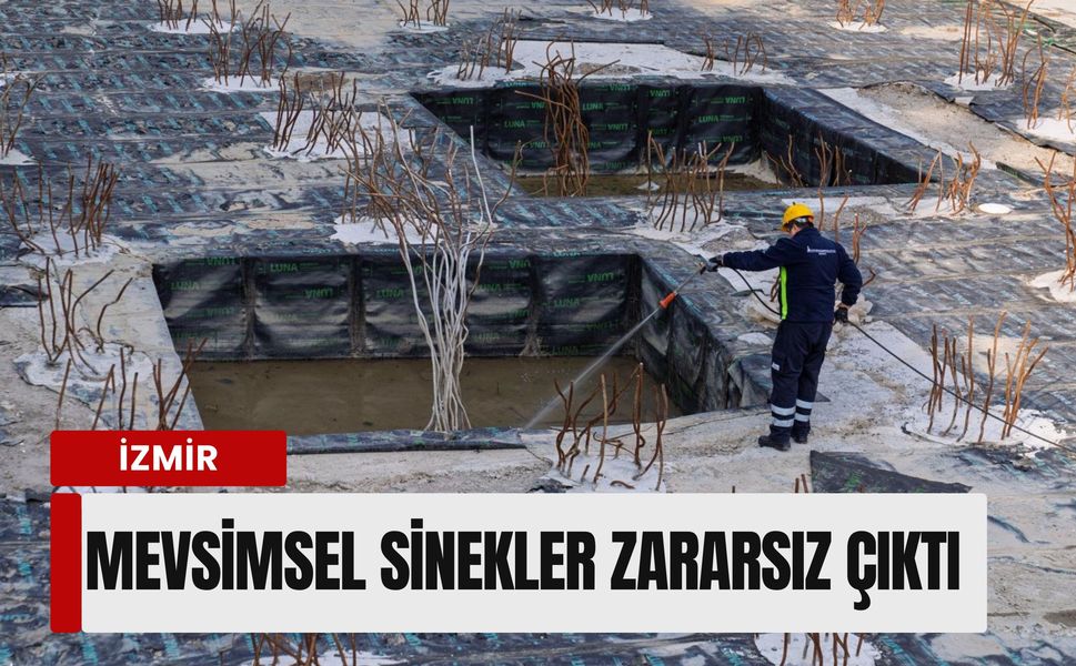 İzmir’de mevsimsel sinekler zararsız çıktı