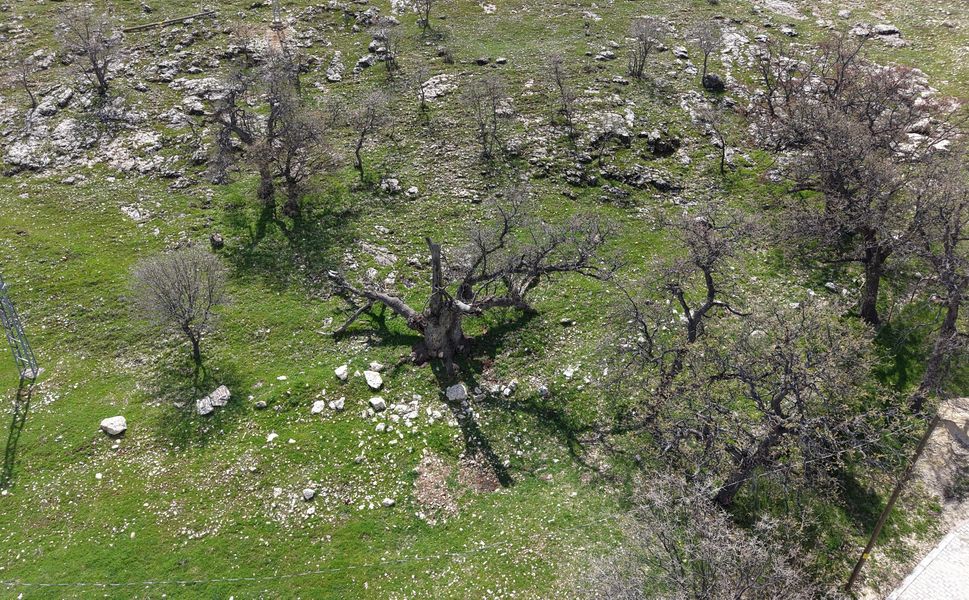 Gülistan Doku dosyasında yeni görüntü: İddia edilen mezar havadan tespit edildi