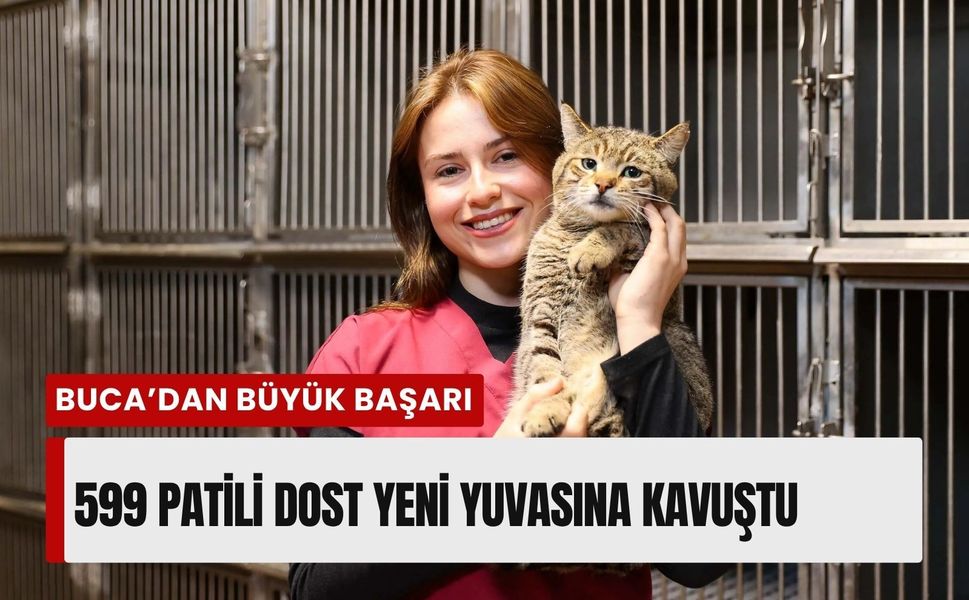 Buca’da 599 patili dost yeni yuvasına kavuştu