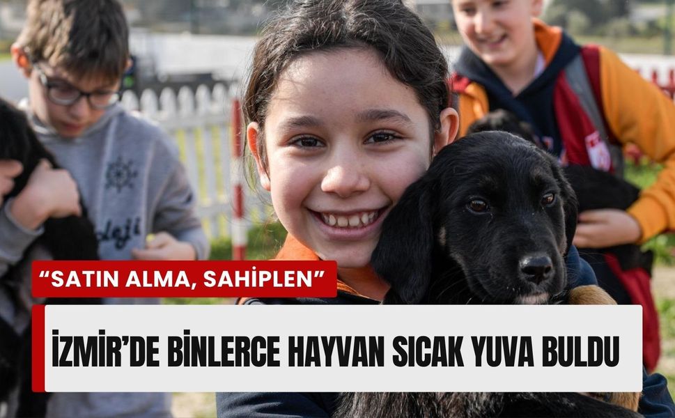 İzmir’de barınaklardan 3 bin 300 sokak hayvanı sahiplendirildi