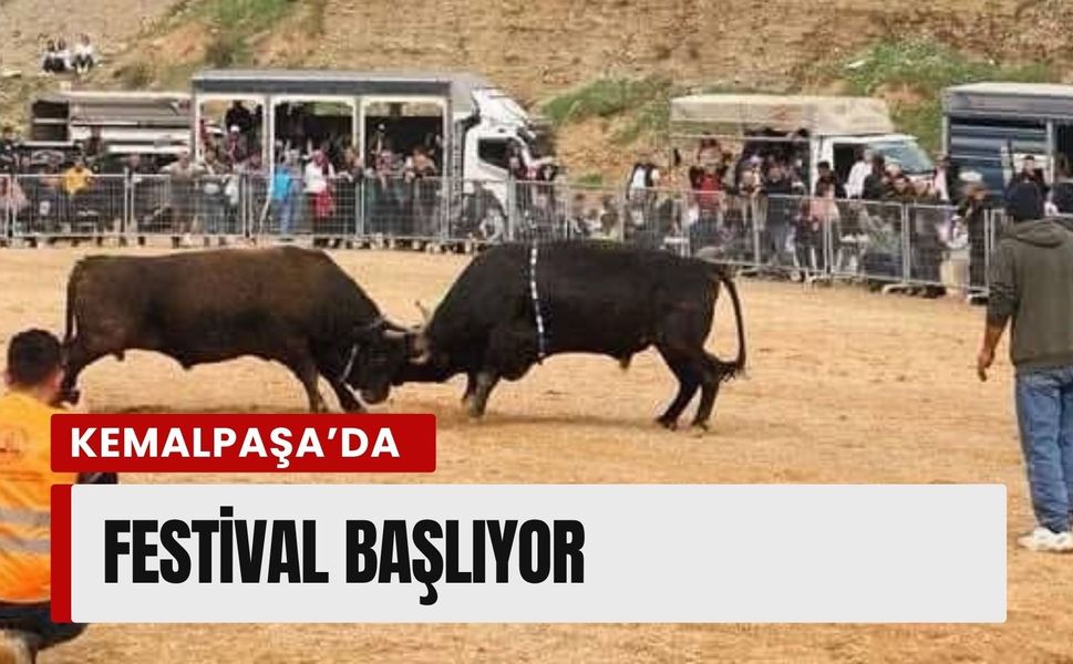Kemalpaşa’da 3. Boğa Güreşi Festivali başlıyor