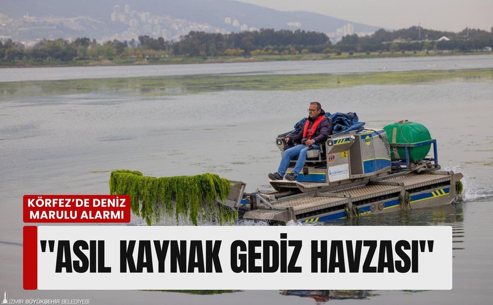 Körfez’de deniz marulu alarmı: 'Asıl kaynak Gediz havzası'