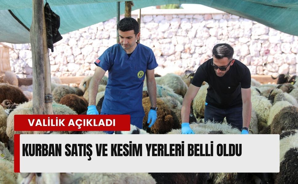 İzmir Valiliği açıkladı: Kurban satış ve kesim yerleri belli oldu