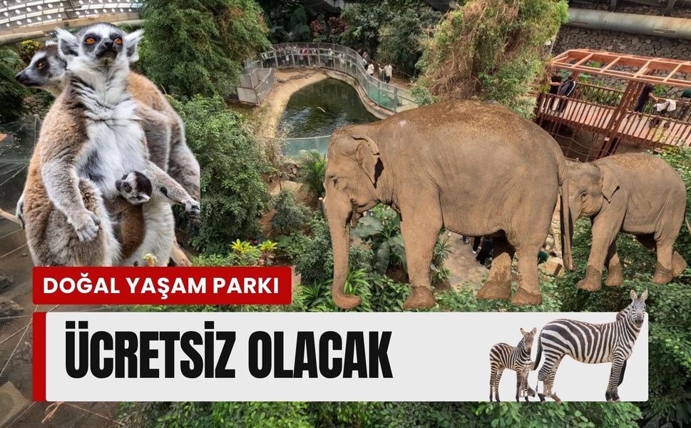 İzmir’de çocuklara bayram sürprizi: Bir hafta boyunca ücretsiz olacak