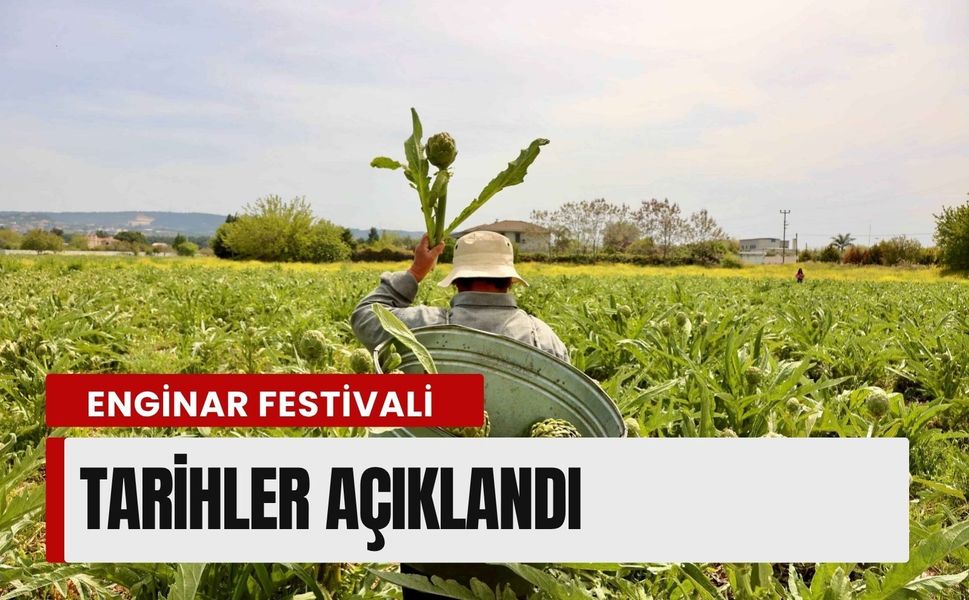 Urla’da Enginar Festivali için geri sayım: Tarihler açıklandı